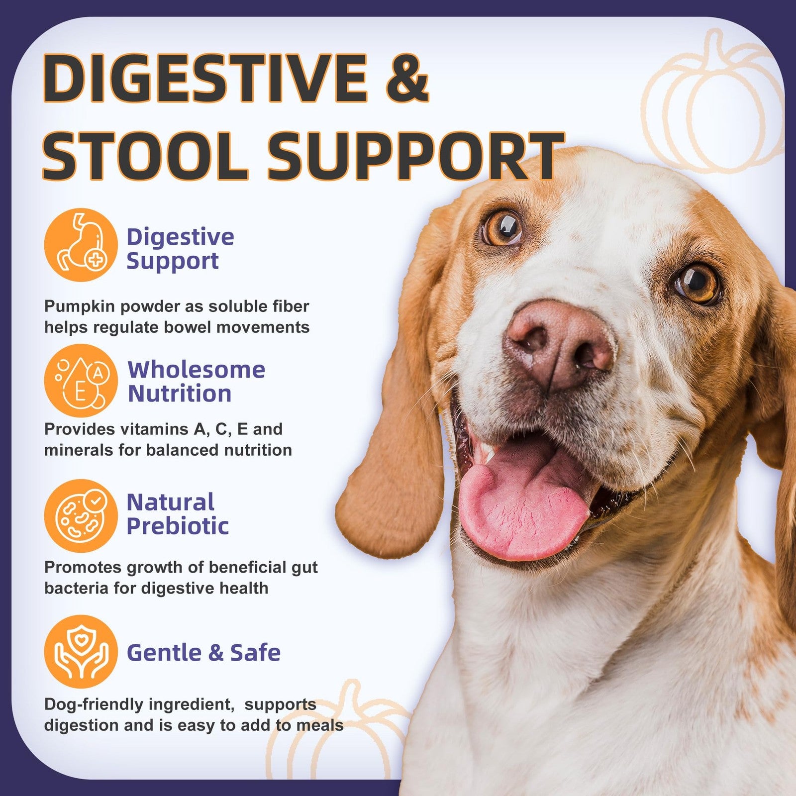 Dog Probiotics Chews 6 Billion CFU Digestive & Gut Health Pumpkin 120ct