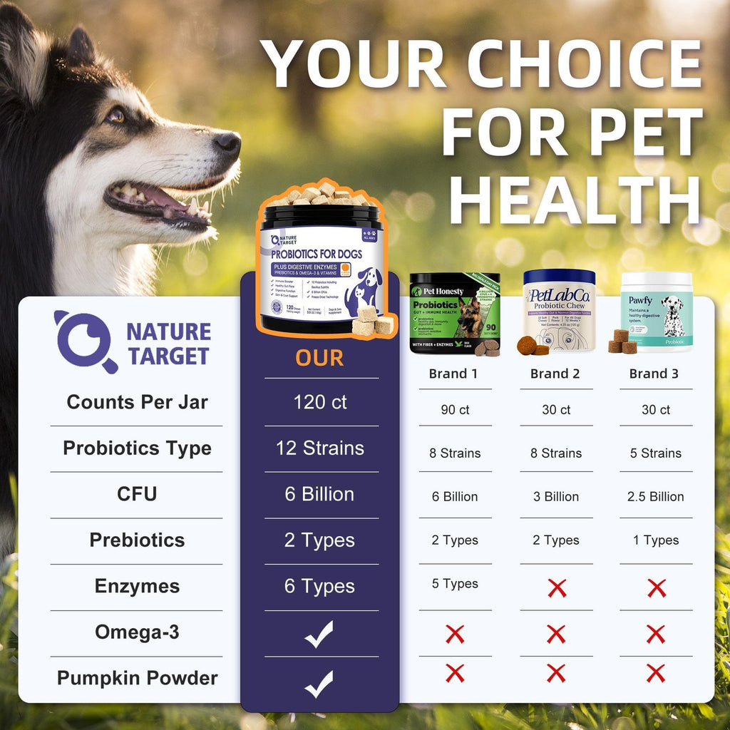 Dog Probiotics Chews 6 Billion CFU Digestive & Gut Health Pumpkin 120ct