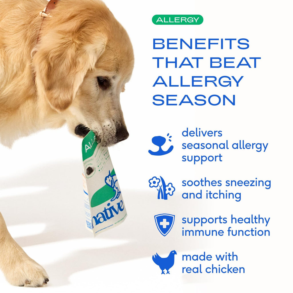 Native Pet Dog Allergy Chews - Dog Allergy Relief with Probiotics and Colostrum