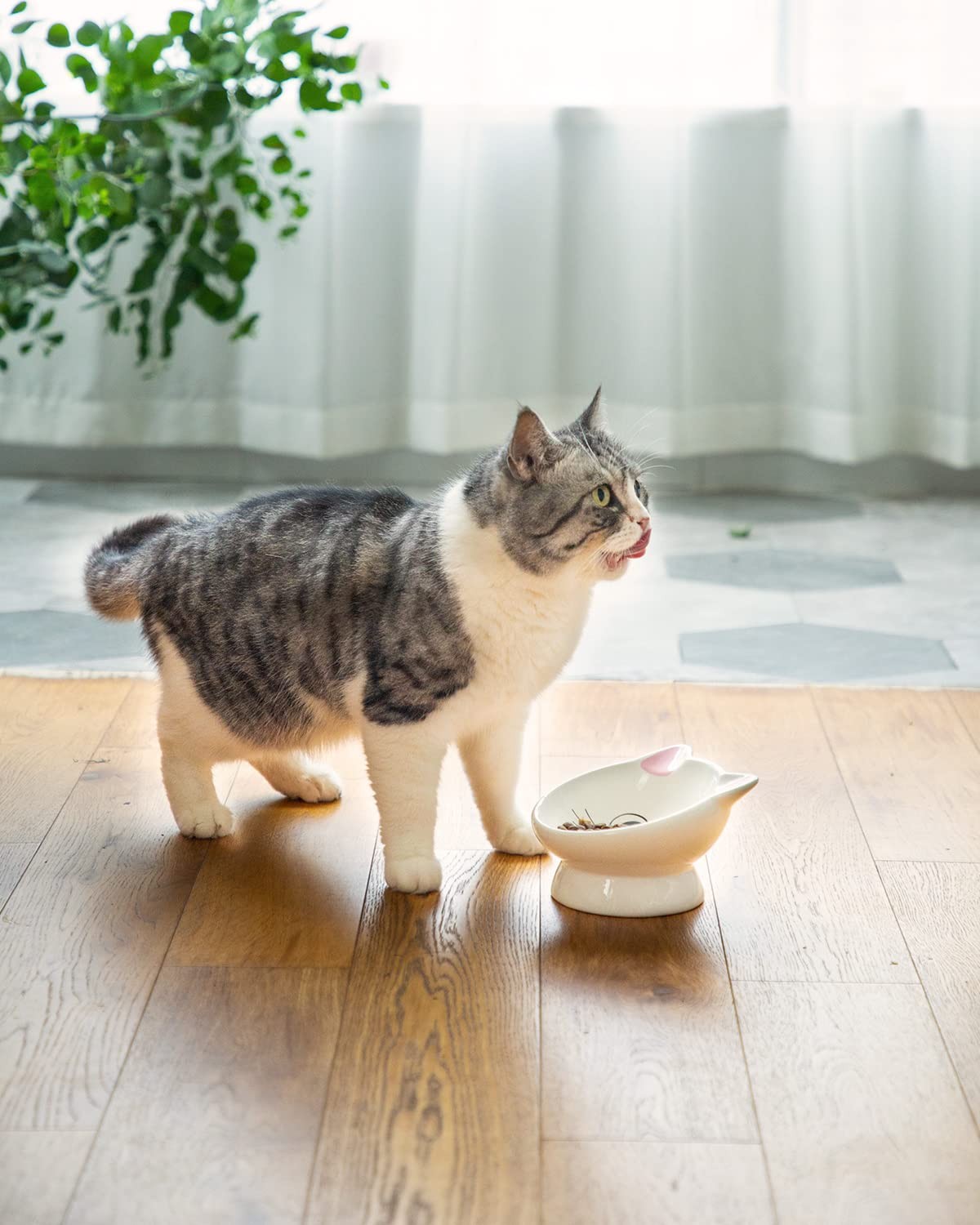 Raised Cat Food Bowl 5oz Ceramic 15° Tilt 5.3in Elevated Pink Kitten Small Dog