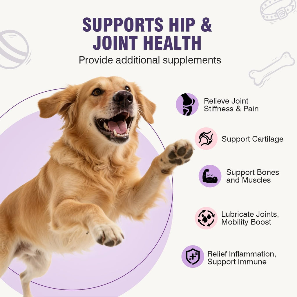 Glucosamine Dog Joint Support Chews 200ct Hip Mobility Chondroitin MSM