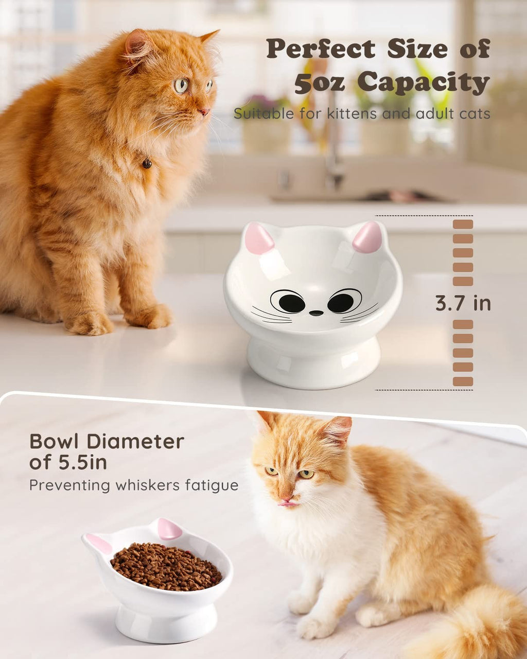 Raised Cat Food Bowl 5oz Ceramic 15° Tilt 5.3in Elevated Pink Kitten Small Dog