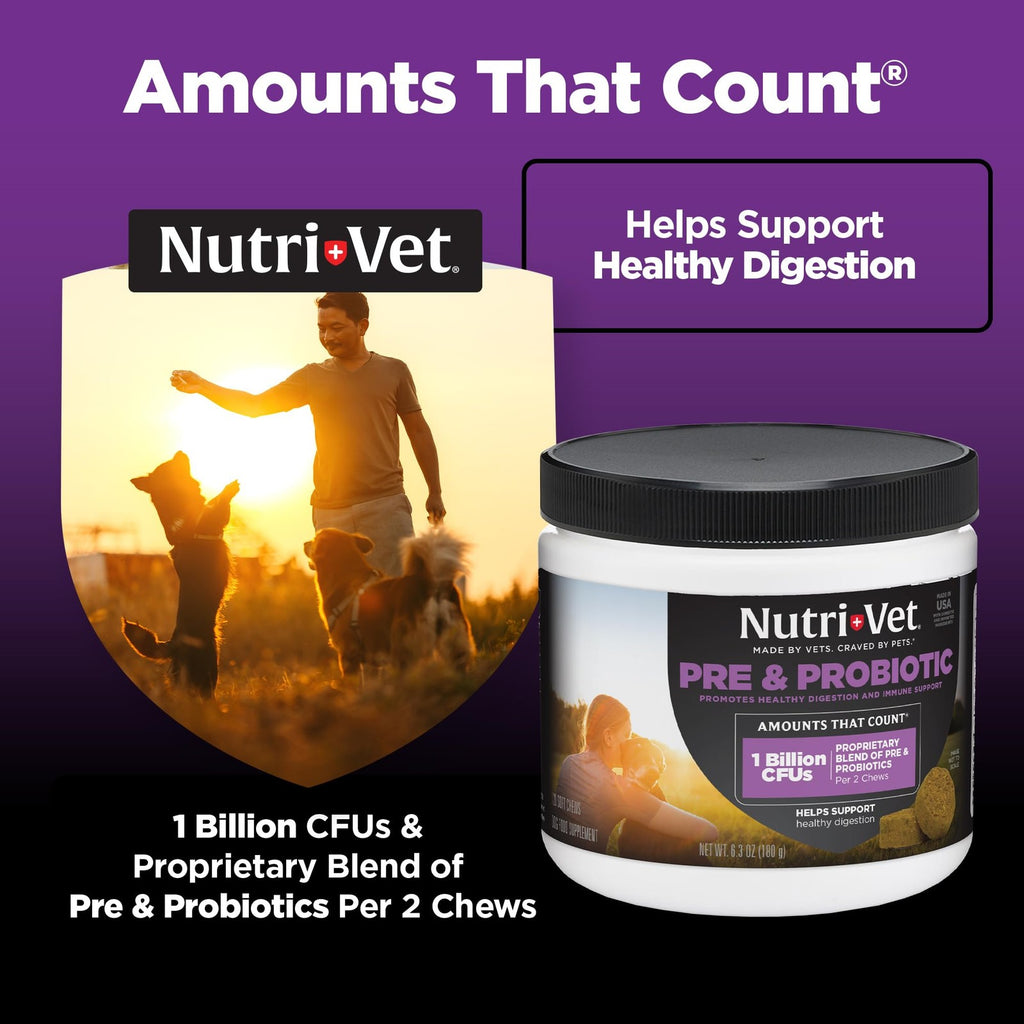 Dog Probiotic Soft Chews with Prebiotics – Digestive & Gut Support 120 Count
