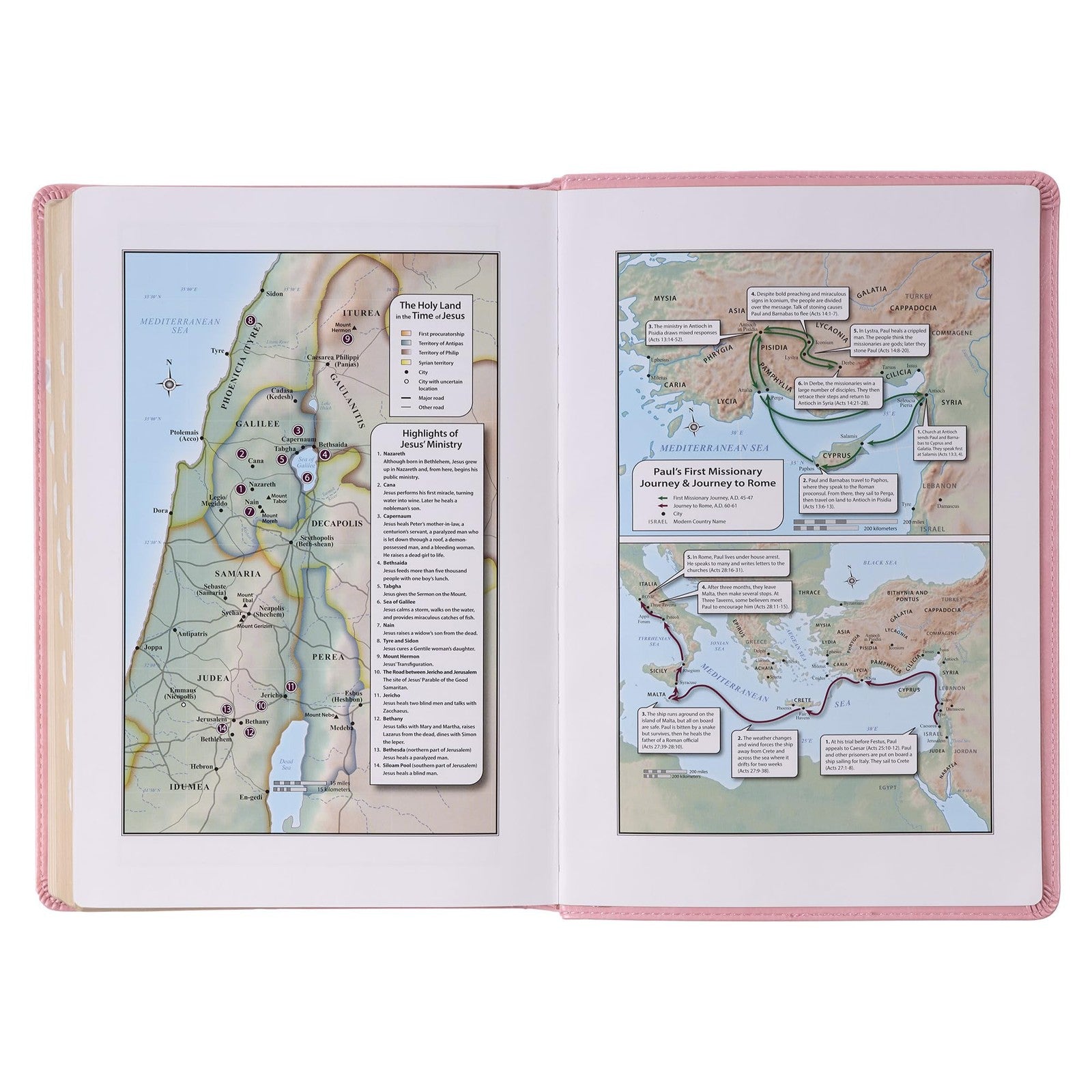 KJV Giant Print Bible Pink Faux Leather Thumb Index Easy Read Church Home