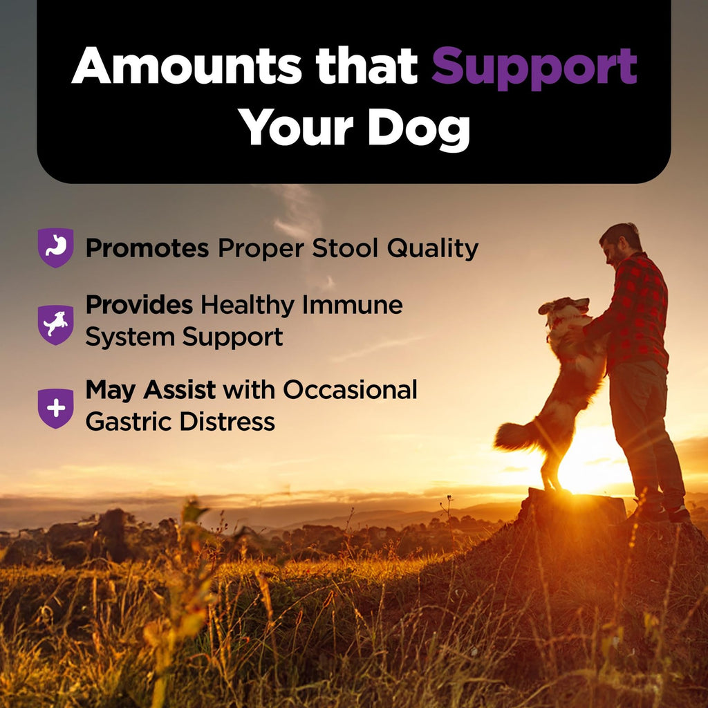 Dog Probiotic Soft Chews with Prebiotics – Digestive & Gut Support 120 Count