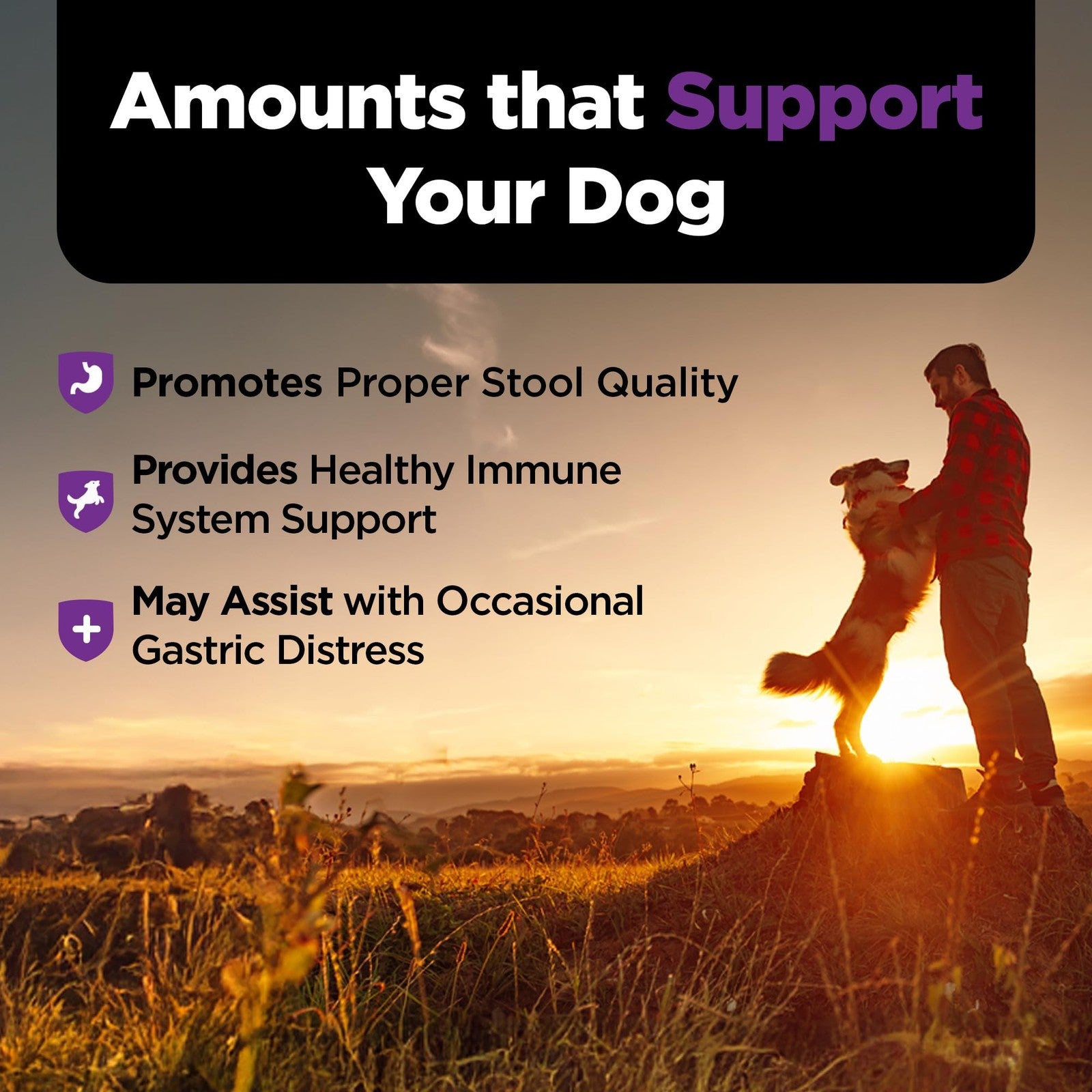 Dog Probiotic Soft Chews with Prebiotics – Digestive & Gut Support 120 Count
