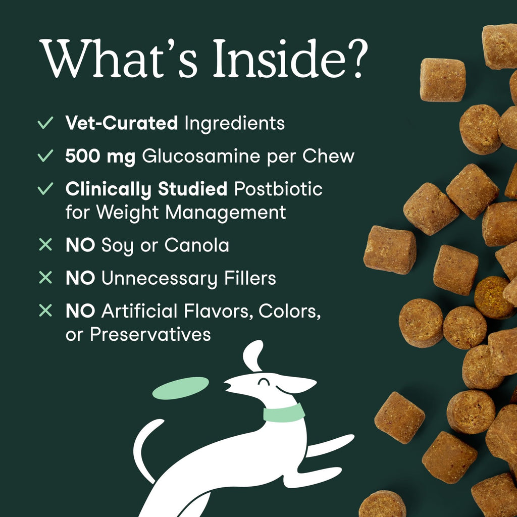 Fera Pets Hip & Joint Supplement for Dogs with Glucosamine, MSM, Chondroitin,