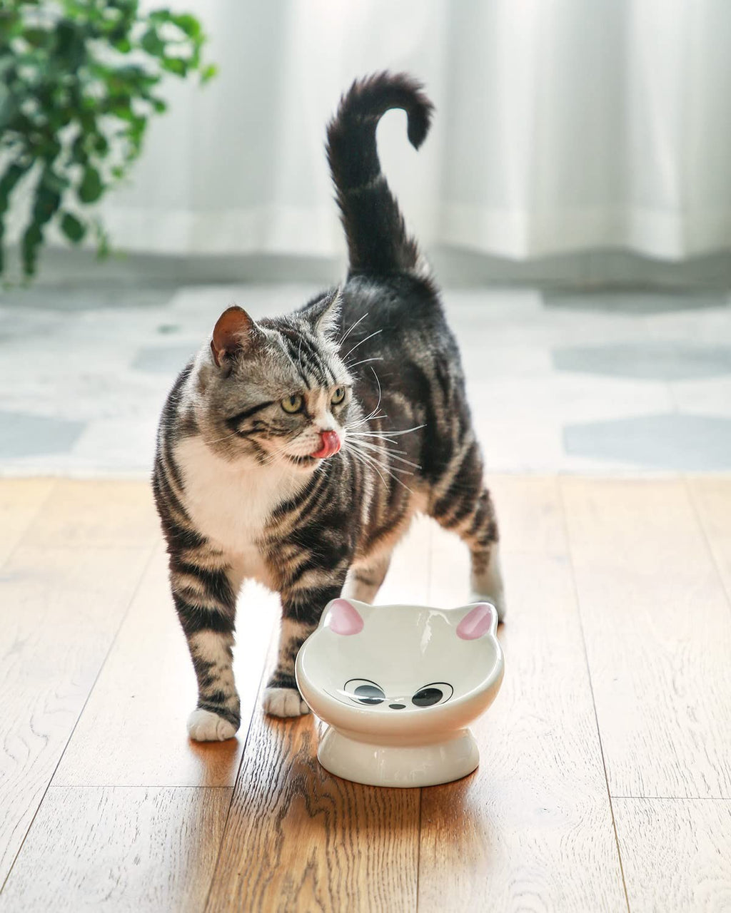 Raised Cat Food Bowl 5oz Ceramic 15° Tilt 5.3in Elevated Pink Kitten Small Dog