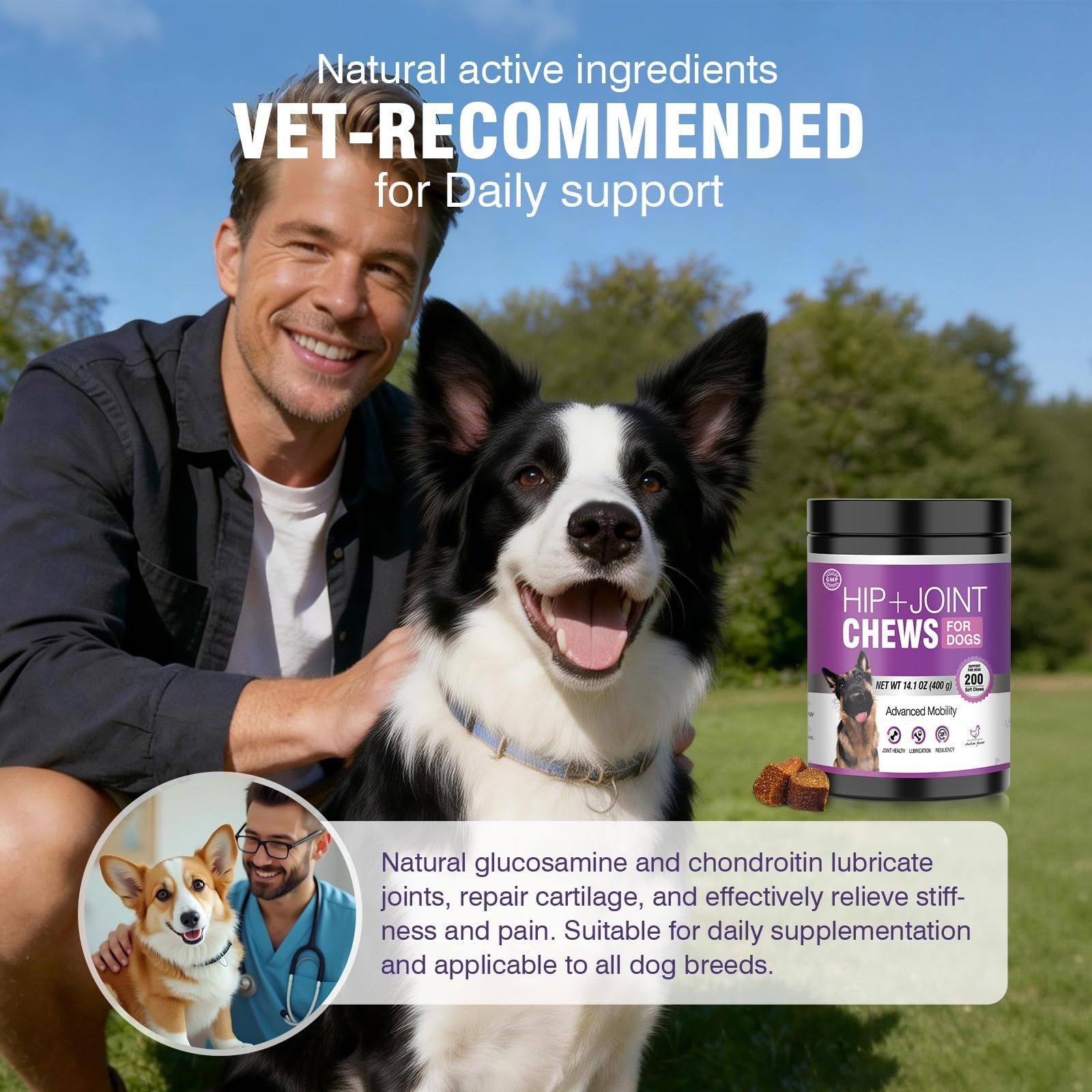 Glucosamine Dog Joint Support Chews 200ct Hip Mobility Chondroitin MSM