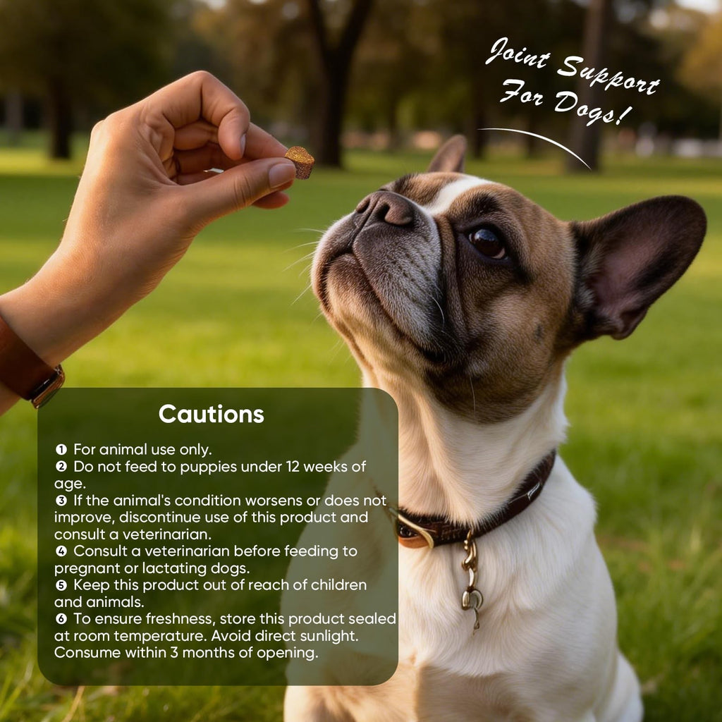 Glucosamine Dog Joint Support Chews 200ct Hip Mobility Chondroitin MSM
