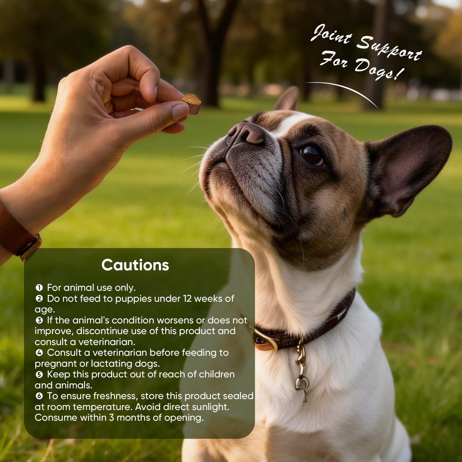 Glucosamine Dog Joint Support Chews 200ct Hip Mobility Chondroitin MSM