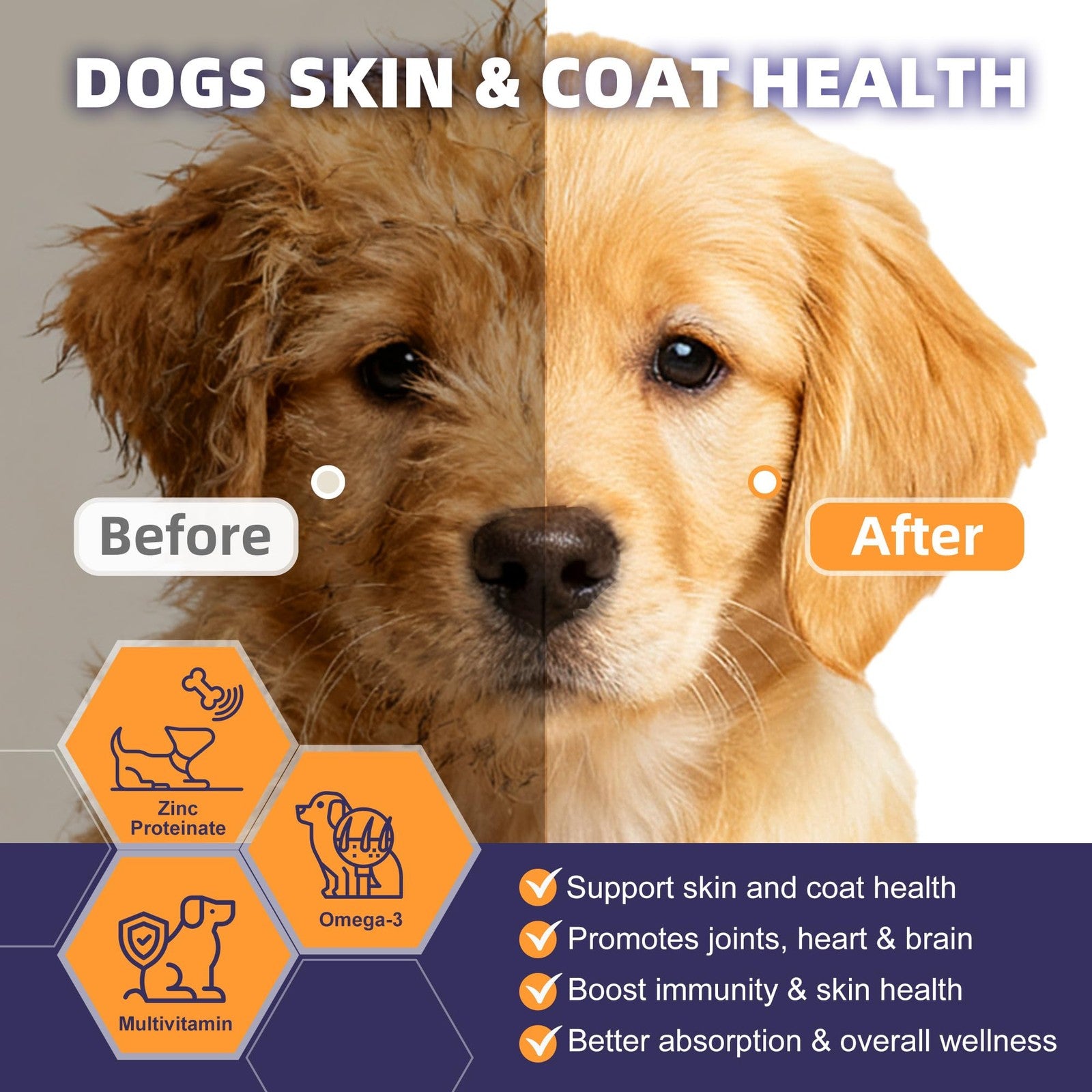 Dog Probiotics Chews 6 Billion CFU Digestive & Gut Health Pumpkin 120ct