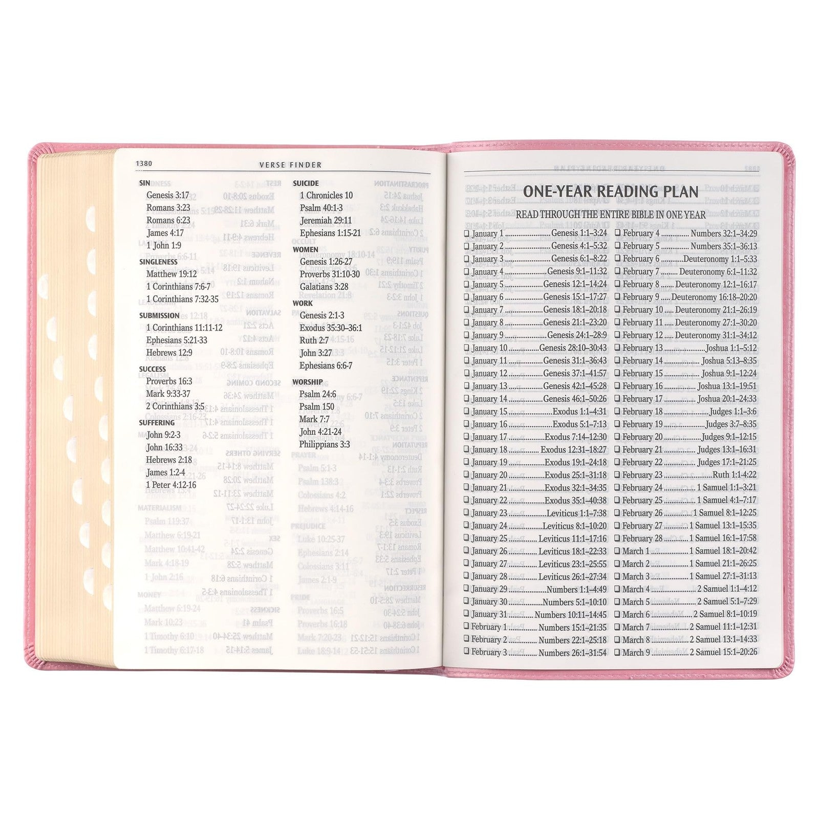 KJV Giant Print Bible Pink Faux Leather Thumb Index Easy Read Church Home