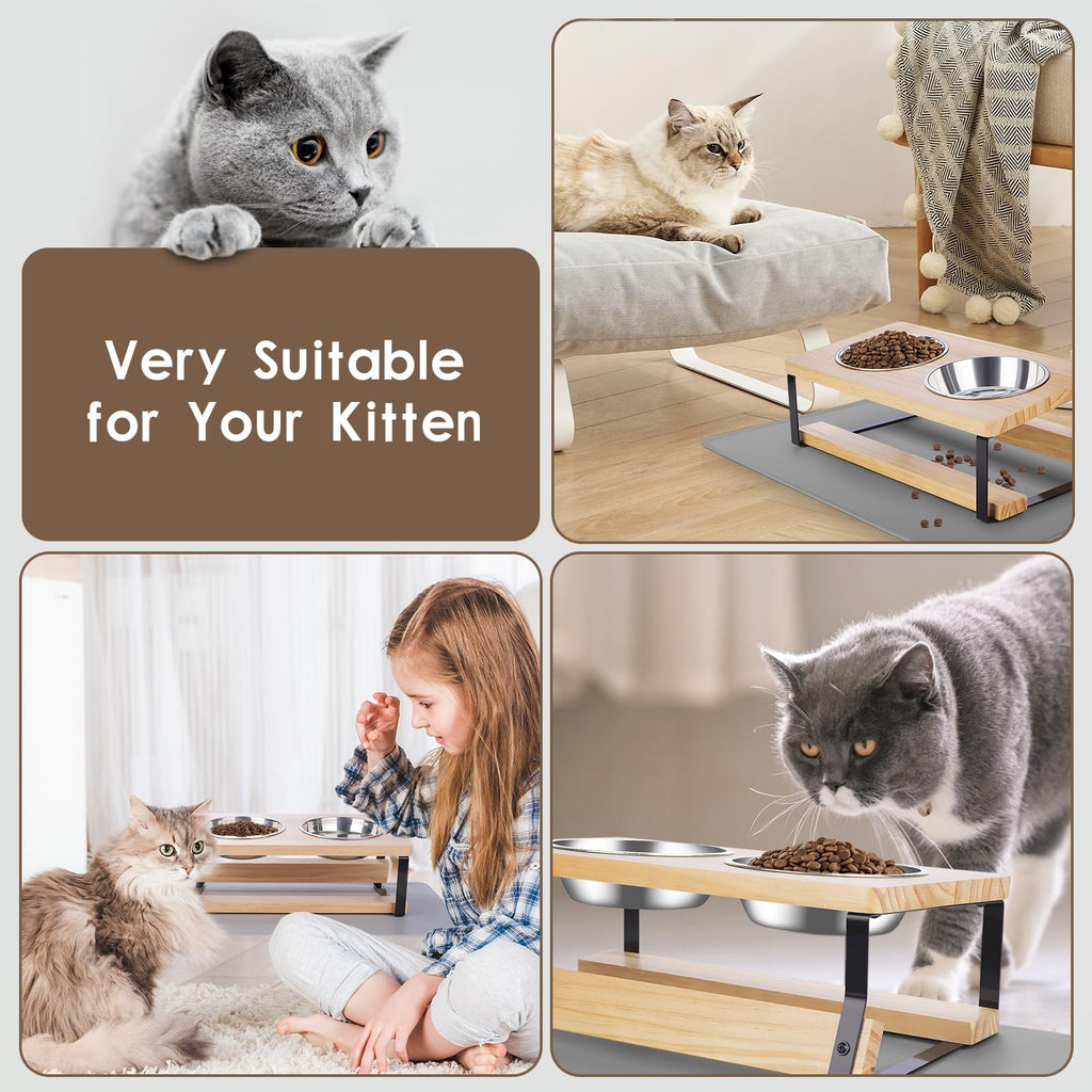 Elevated Cat Bowls 15° Tilted Raised Feeder with Stainless Steel Bowls & Mat