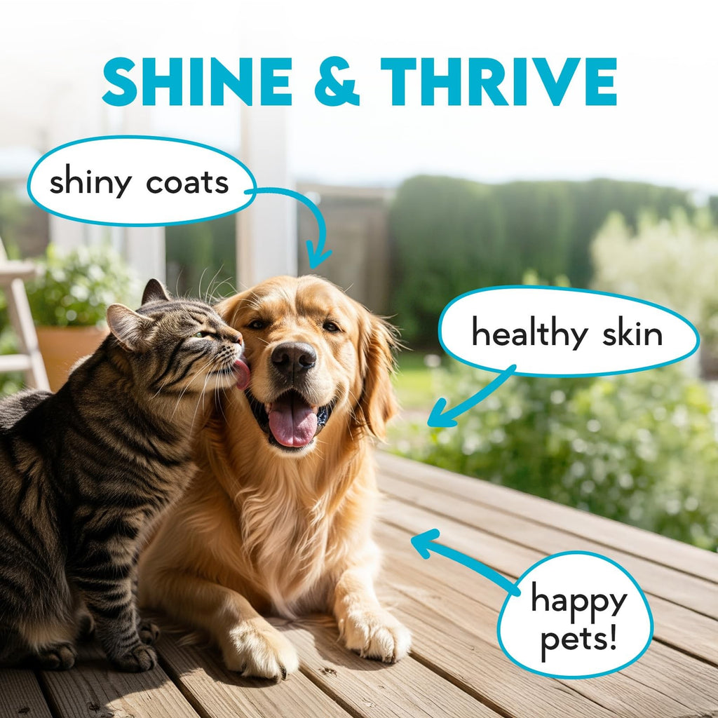 Omega 3 Dog Skin & Coat Chews 150ct Fish Oil EPA DHA Itchy Skin Relief Treats