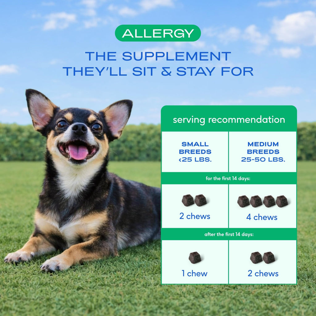 Native Pet Dog Allergy Chews - Dog Allergy Relief with Probiotics and Colostrum