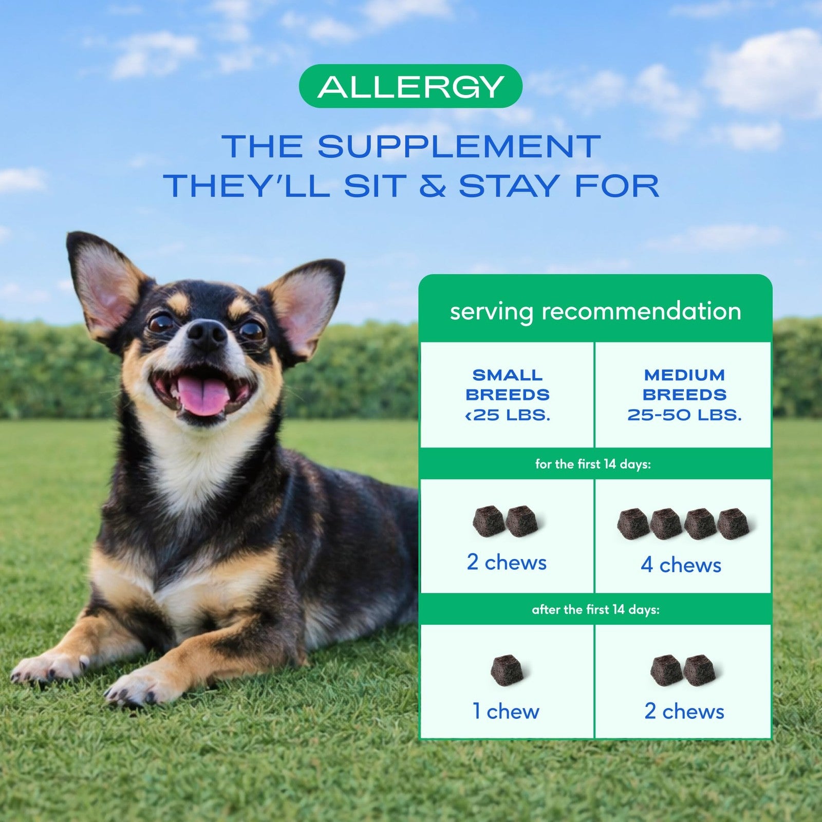 Native Pet Dog Allergy Chews - Dog Allergy Relief with Probiotics and Colostrum