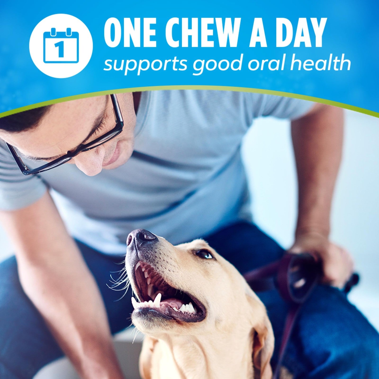 DentaLife ActivFresh Dog Chews for Small and Medium Dogs 20-40 lbs- Dental Chew