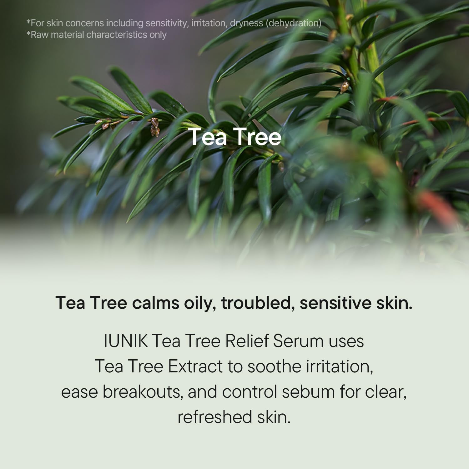 IUNIK Tea Tree Relief Serum – Tea Tree & Centella Asiatica Lightweight Vegan