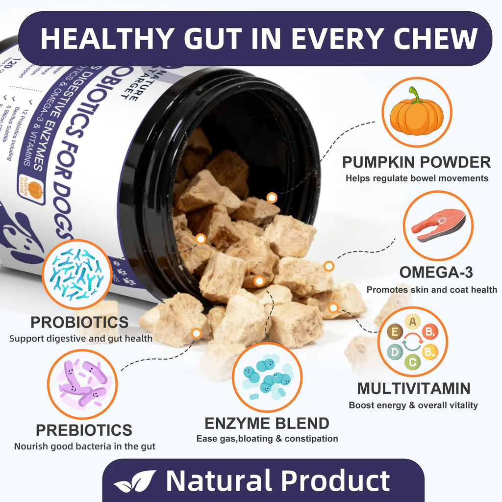 Dog Probiotics Chews 6 Billion CFU Digestive & Gut Health Pumpkin 120ct