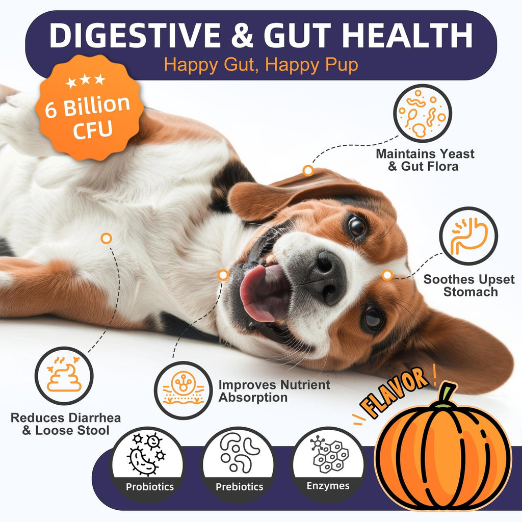 Dog Probiotics Chews 6 Billion CFU Digestive & Gut Health Pumpkin 120ct