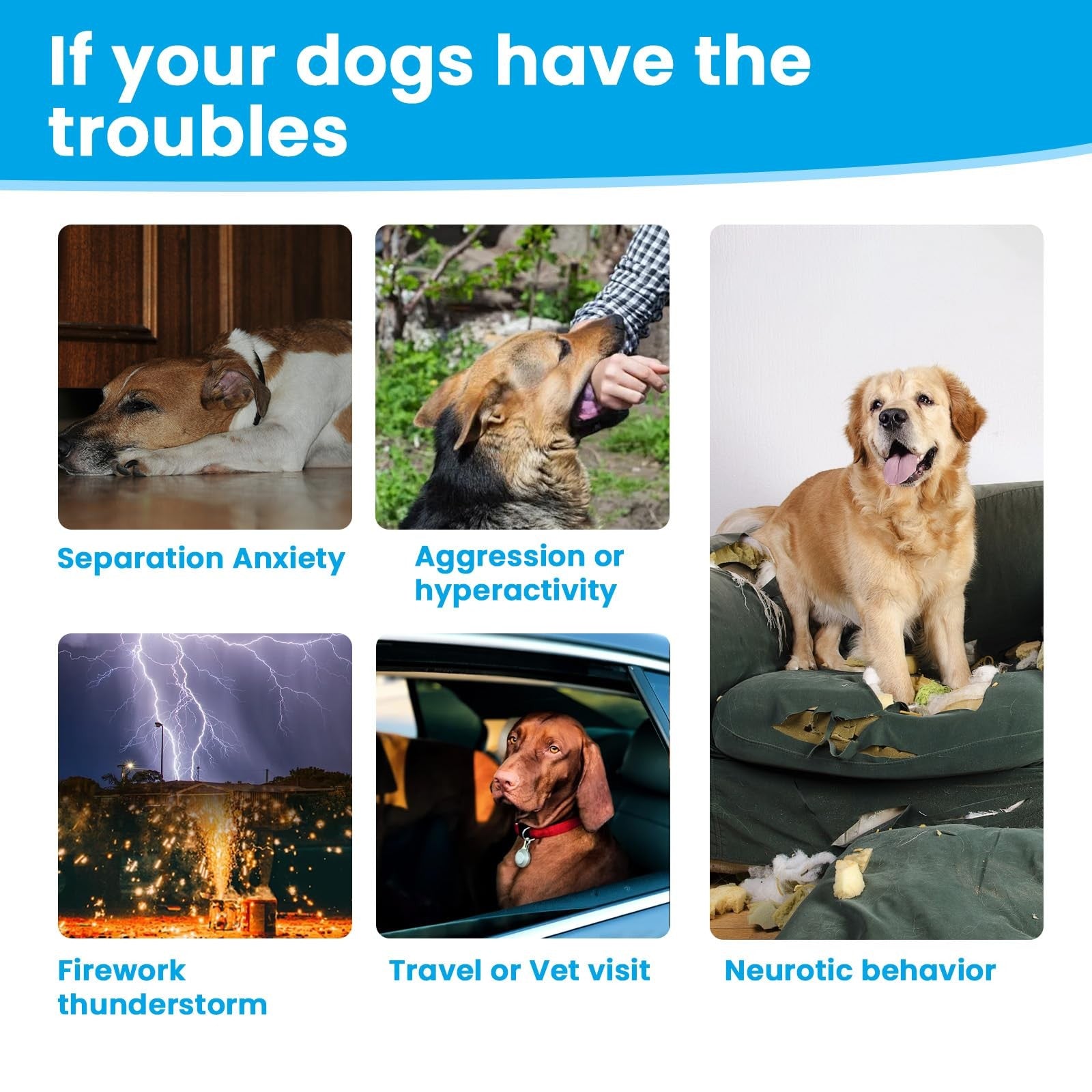 Calming Chews for Dog, Calming Chews Anxiety & Stress Relief Treat with Melaton