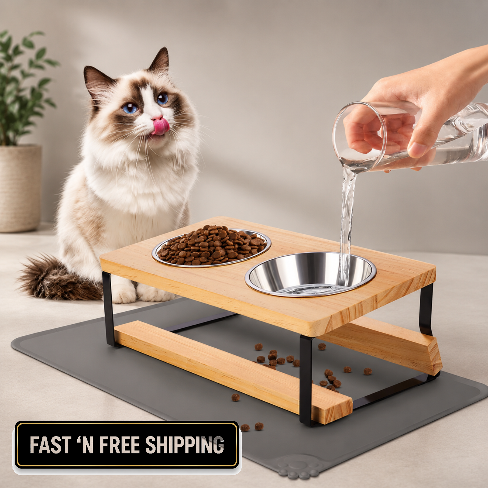 Elevated Cat Bowls 15° Tilted Raised Feeder with Stainless Steel Bowls & Mat